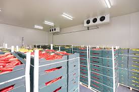 Pharmaceutical Cold Room